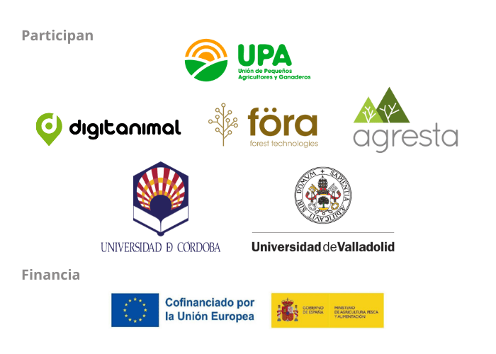 Participantes GoCargoban